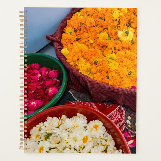 India, Rajasthan, Pipar Planner (Front)