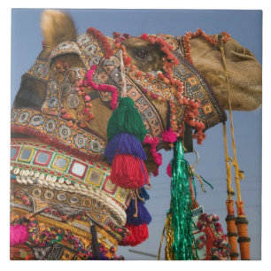 INDIA, Rajasthan, Pushkar: PUSHKAR CAMEL FAIR, Ceramic Tile