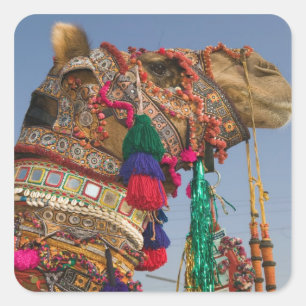 INDIA, Rajasthan, Pushkar: PUSHKAR CAMEL FAIR, Square Sticker