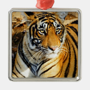 India, Sawai Madhopur, Ranthambore National Metal Ornament