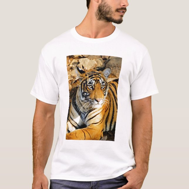 India, Sawai Madhopur, Ranthambore National T-Shirt (Front)