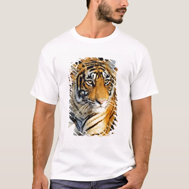 India, Sawai Madhopur, Ranthambore National T-Shirt (Front)