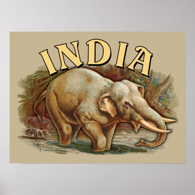 India Wildlife - Indian Elephant Poster (Front)