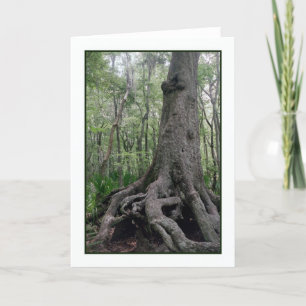 Indian Artefact Greeting Card