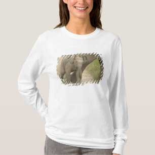 Indian / Asian Elephant and young one,Corbett 2 T-Shirt