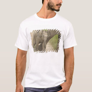 Indian / Asian Elephant and young one,Corbett 2 T-Shirt