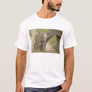 Indian / Asian Elephant and young one,Corbett 2 T-Shirt