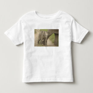 Indian / Asian Elephant and young one,Corbett 2 Toddler T-Shirt