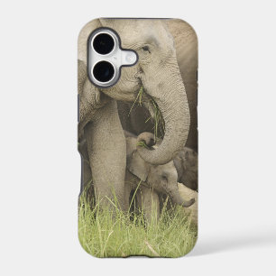Indian / Asian Elephant and young one,Corbett 3