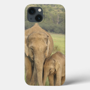 Indian / Asian Elephant and young one,Corbett iPhone 13 Case