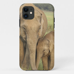 Indian / Asian Elephant and young one,Corbett iPhone 11 Case