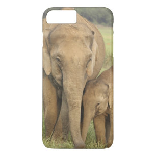 Indian / Asian Elephant and young one,Corbett iPhone 8 Plus/7 Plus Case