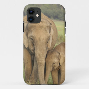 Indian / Asian Elephant and young one,Corbett iPhone 11 Case