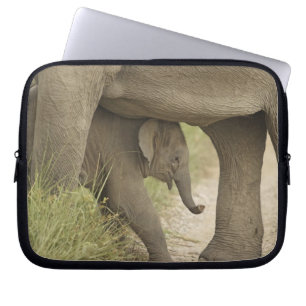Indian / Asian Elephant and young one,Corbett Laptop Sleeve
