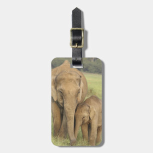 Indian / Asian Elephant and young one,Corbett Luggage Tag