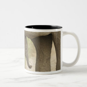 Indian / Asian Elephant and young one,Corbett Two-Tone Coffee Mug