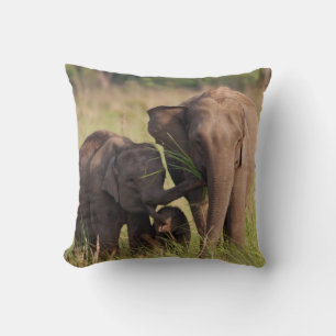 Indian Asian Elephant Family in the Savannah Cushion