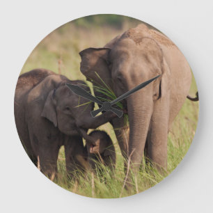 Indian Asian Elephant family in the savannah Large Clock