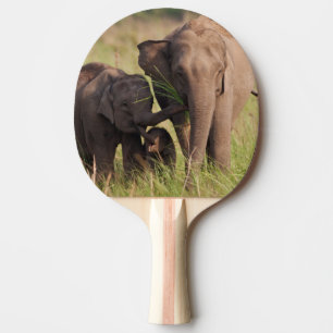 Indian Asian Elephant Family in the Savannah Ping Pong Paddle