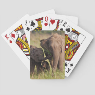 Indian Asian Elephant Family in the Savannah Playing Cards