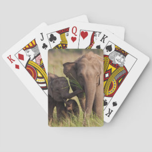 Indian Asian Elephant Family in the Savannah Playing Cards