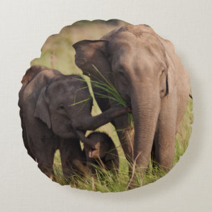 Indian Asian Elephant Family in the Savannah Round Cushion