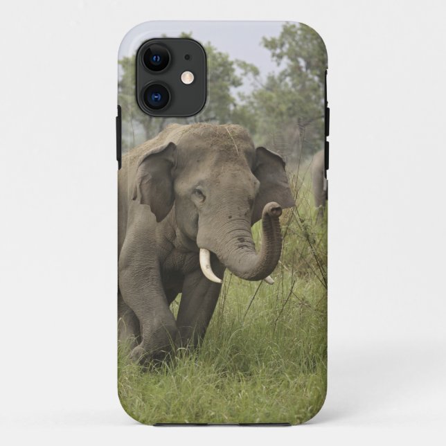 Indian Asian Elephant Greeting Case-Mate iPhone Case (Back)