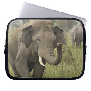 Indian Asian Elephant Greeting Laptop Sleeve