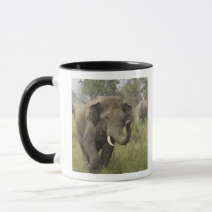 Indian Asian Elephant Greeting Mug