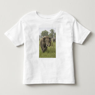Indian Asian Elephant Greeting Toddler T-Shirt