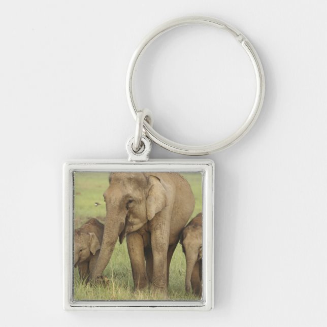 Indian Asian Elephant & Young Ones Key Ring (Front)