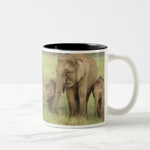 Indian Asian Elephant & Young Ones Two-Tone Coffee Mug