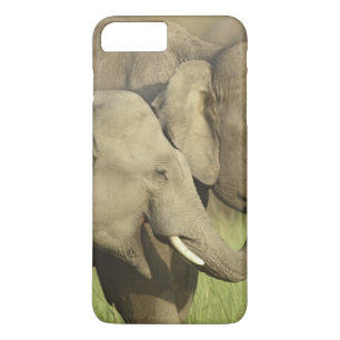 Indian Asian Elephants iPhone 8 Plus/7 Plus Case
