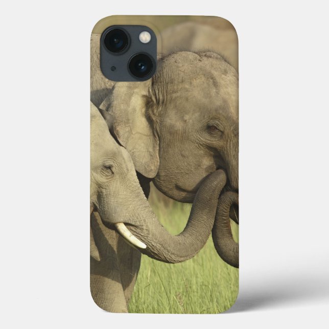 Indian Asian Elephants Case-Mate iPhone Case (Back)
