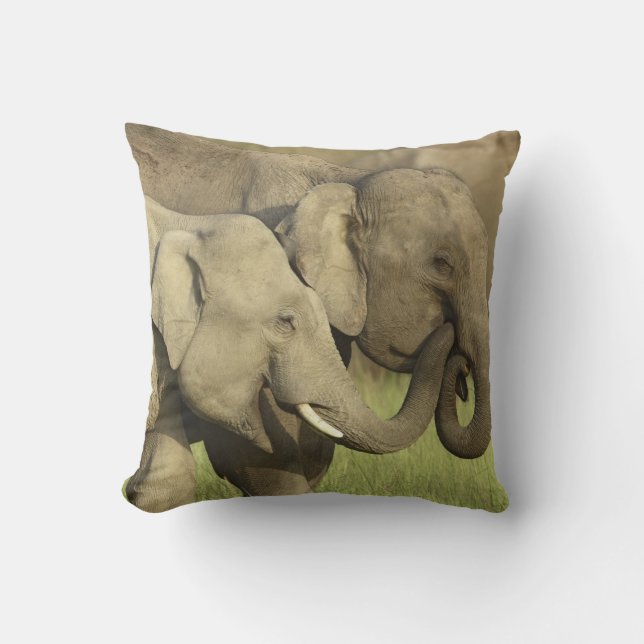 Indian Asian Elephants Cushion (Front)