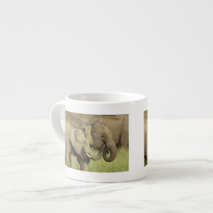 Indian Asian Elephants Espresso Cup