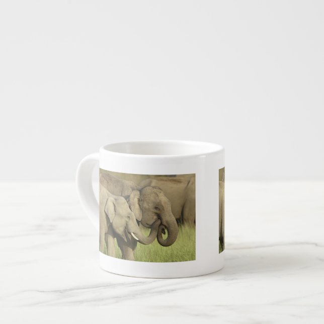 Indian Asian Elephants Espresso Cup (Front Left)
