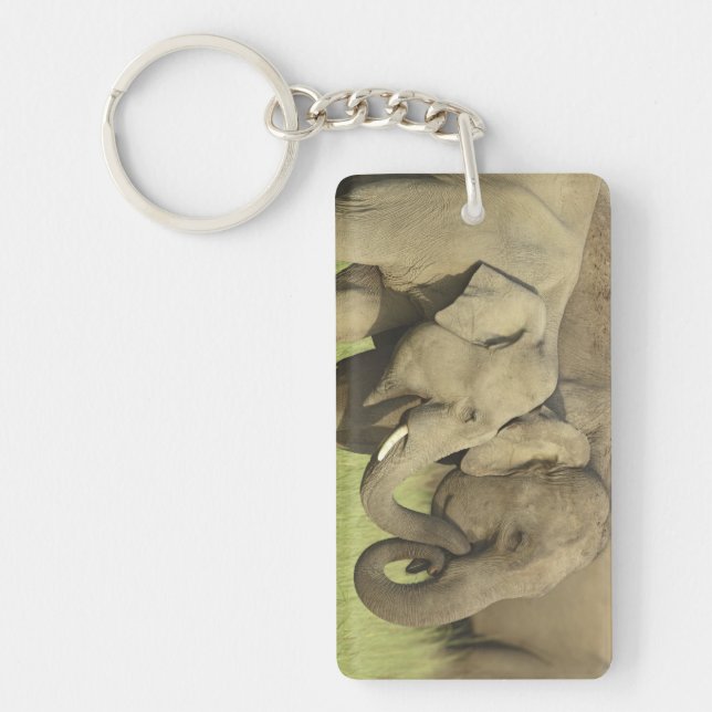 Indian Asian Elephants Key Ring (Front)
