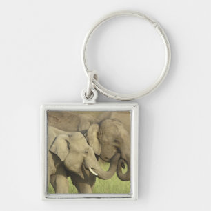 Indian Asian Elephants Key Ring