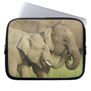 Indian Asian Elephants Laptop Sleeve