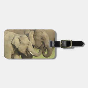 Indian Asian Elephants Luggage Tag