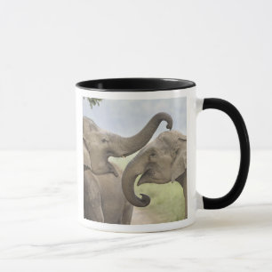 Indian Asian Elephants play Fighting Mug