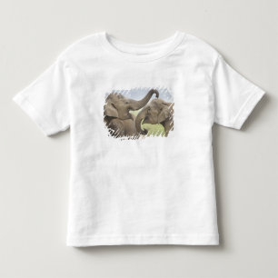Indian Asian Elephants play Fighting Toddler T-Shirt