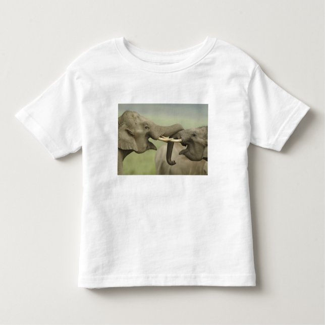 Indian Asian Elephants play Fighting Toddler T-Shirt (Front)