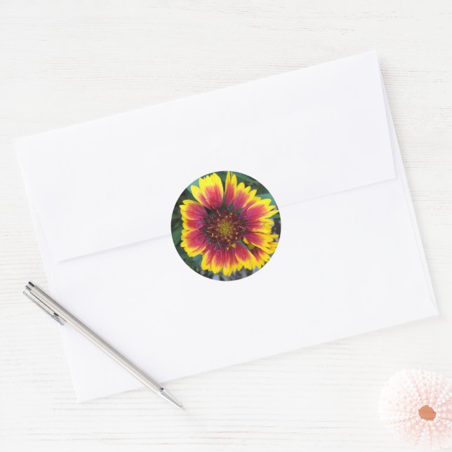 Indian Blanket Flower round sticker (Envelope)