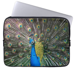 Indian blue green peacock bird feathers on display laptop sleeve