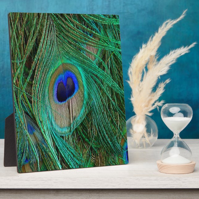 Indian Blue Peacock Feather Plaque (Side)