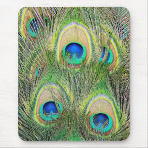 Indian Blue Peacock Feathers Mouse Pad