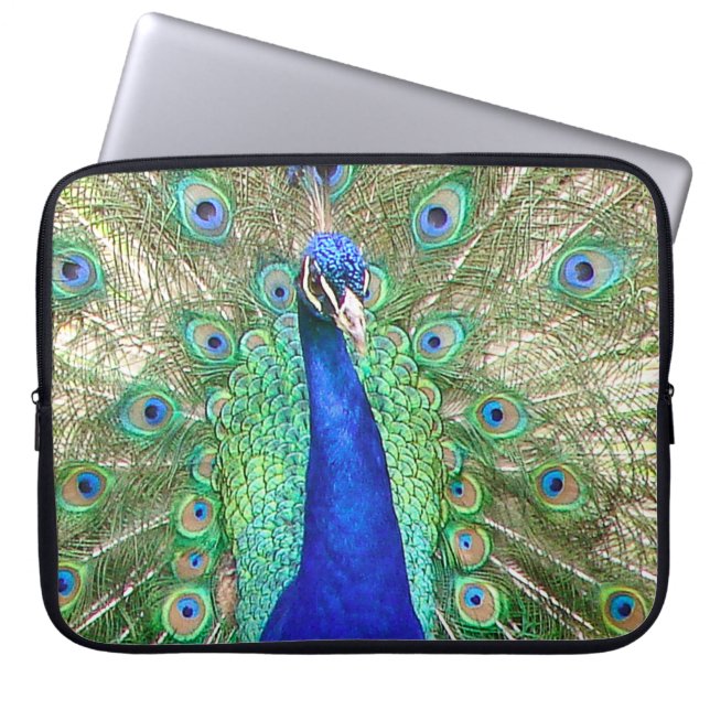 Indian Blue Peacock Laptop Sleeve (Front)