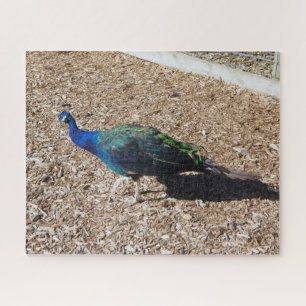 Indian Blue Peafowl jigsaw puzzle